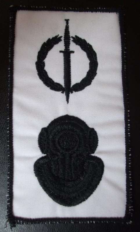 RECCE operator & Diver Badge on White (Black border)